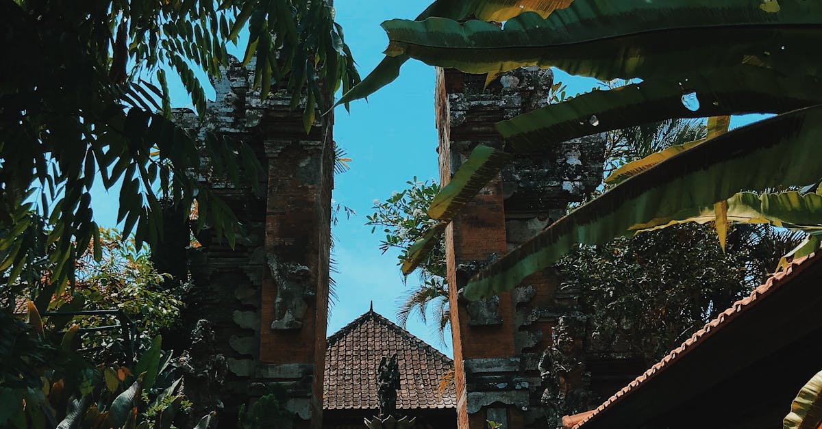 Canggu Villas: Your Gateway to Tranquility in Bali