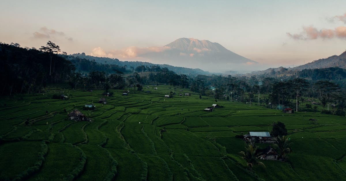 Green Retreats: Eco-Friendly Villas in Bali