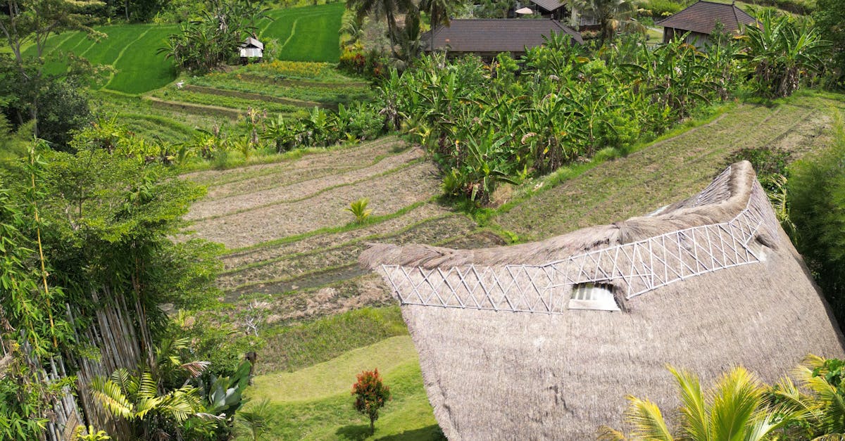 Responsible Travel: Eco-Friendly Villas in Bali