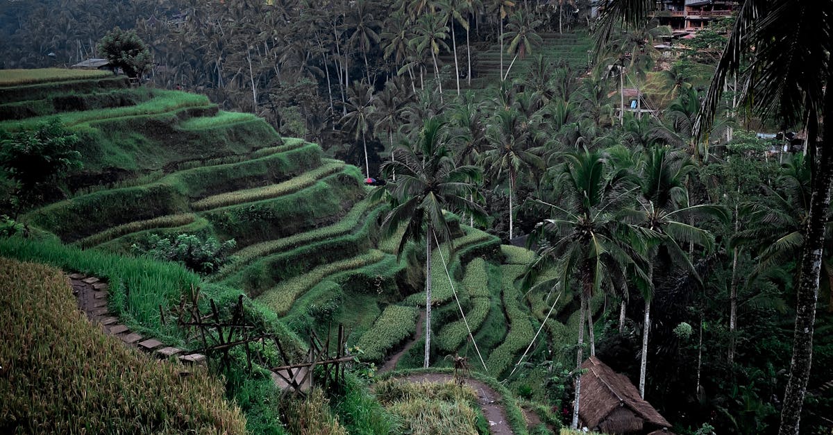 Unforgettable Experiences in Ubud Villas